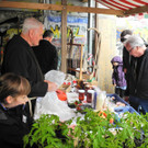 DSCN2788_JPG-1336315484