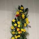 DSC03522_JPG-1336327652