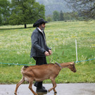 IMG_0426_JPG-1336327455