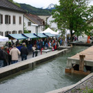 IMG_1843.JPG