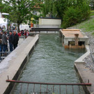 IMG_1889.JPG