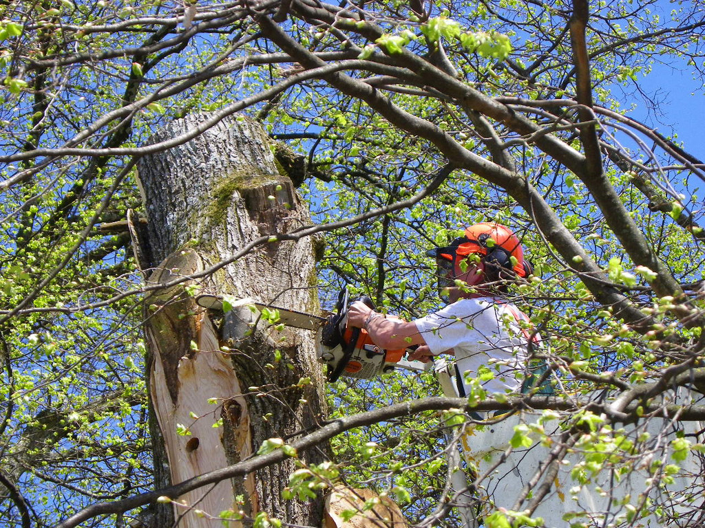 114_4835_JPG-1336340350