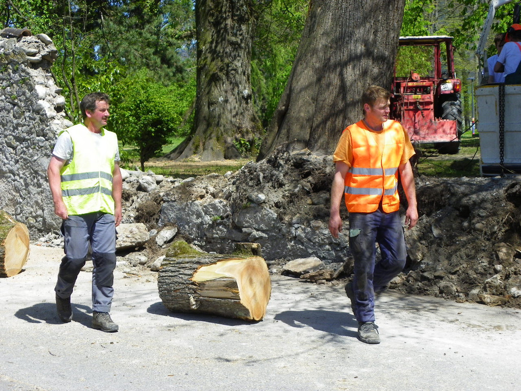 114_4859_JPG-1336340375