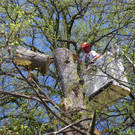 114_4827_JPG-1336340325