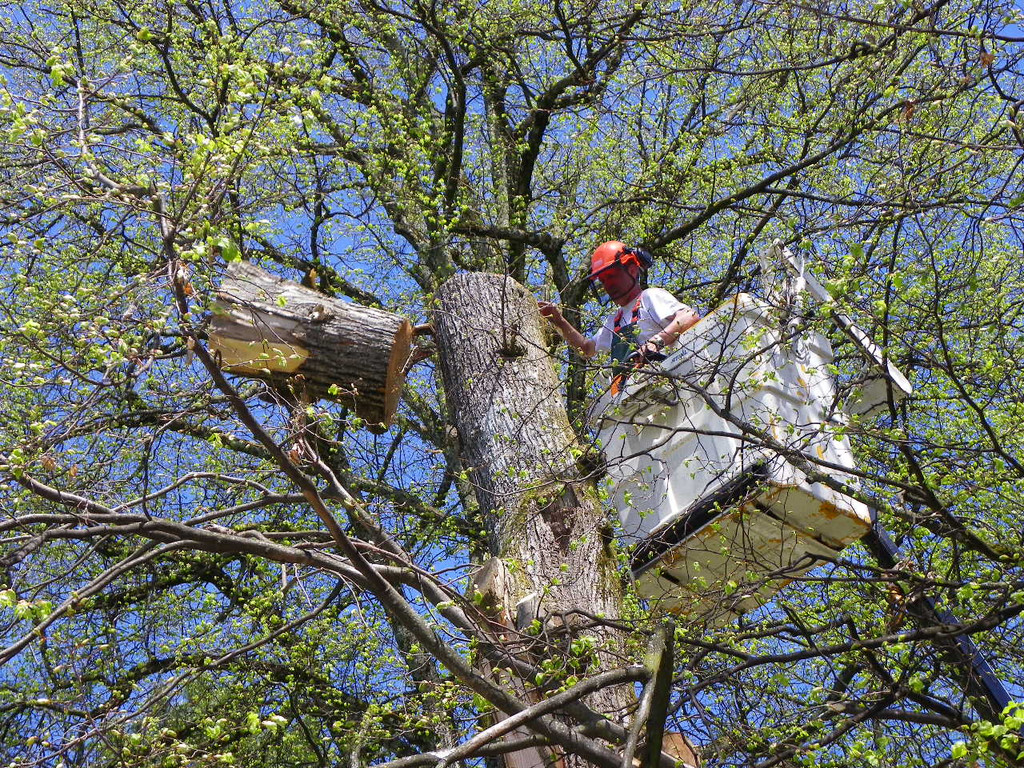 114_4827_JPG-1336340325