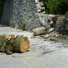 114_4828_JPG-1336340331