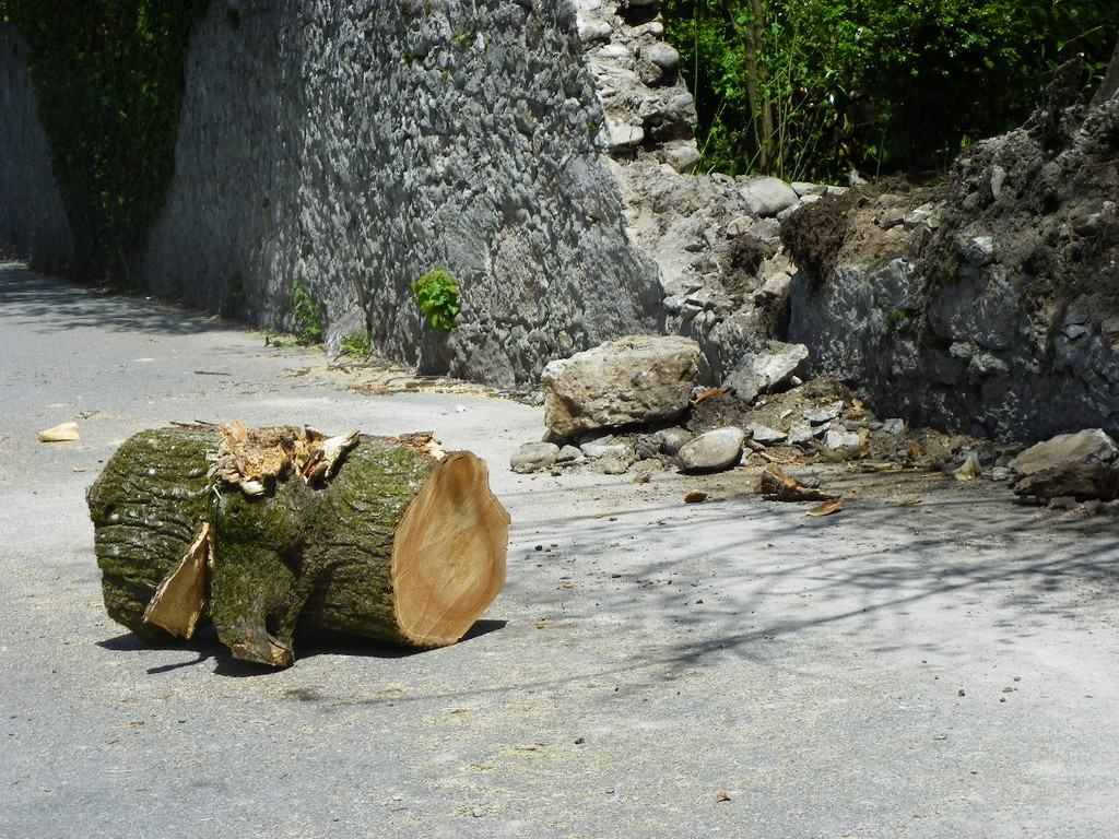 114_4828_JPG-1336340331