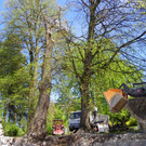 114_4831_JPG-1336340338