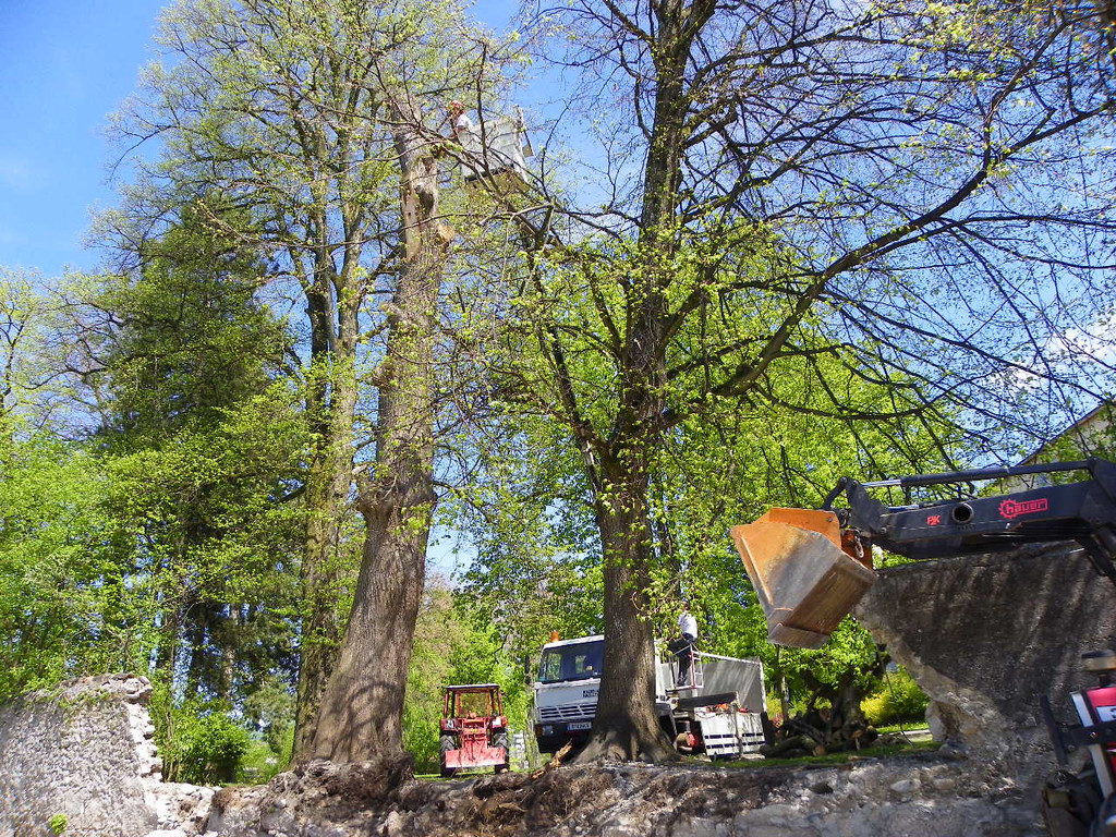 114_4831_JPG-1336340338