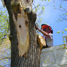 114_4840_JPG-1336340363