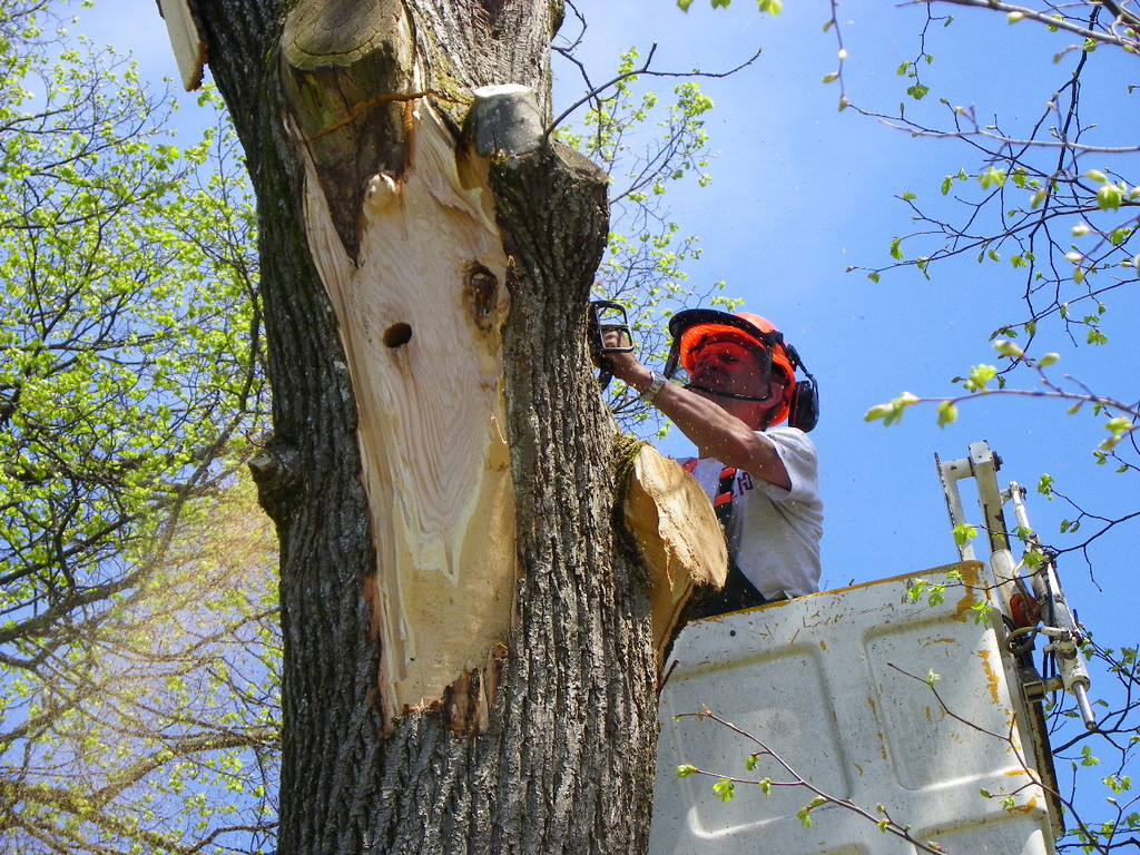 114_4840_JPG-1336340363