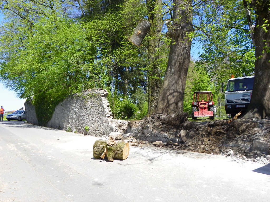 114_4832_JPG-1336340344