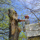 114_4837_JPG-1336340356