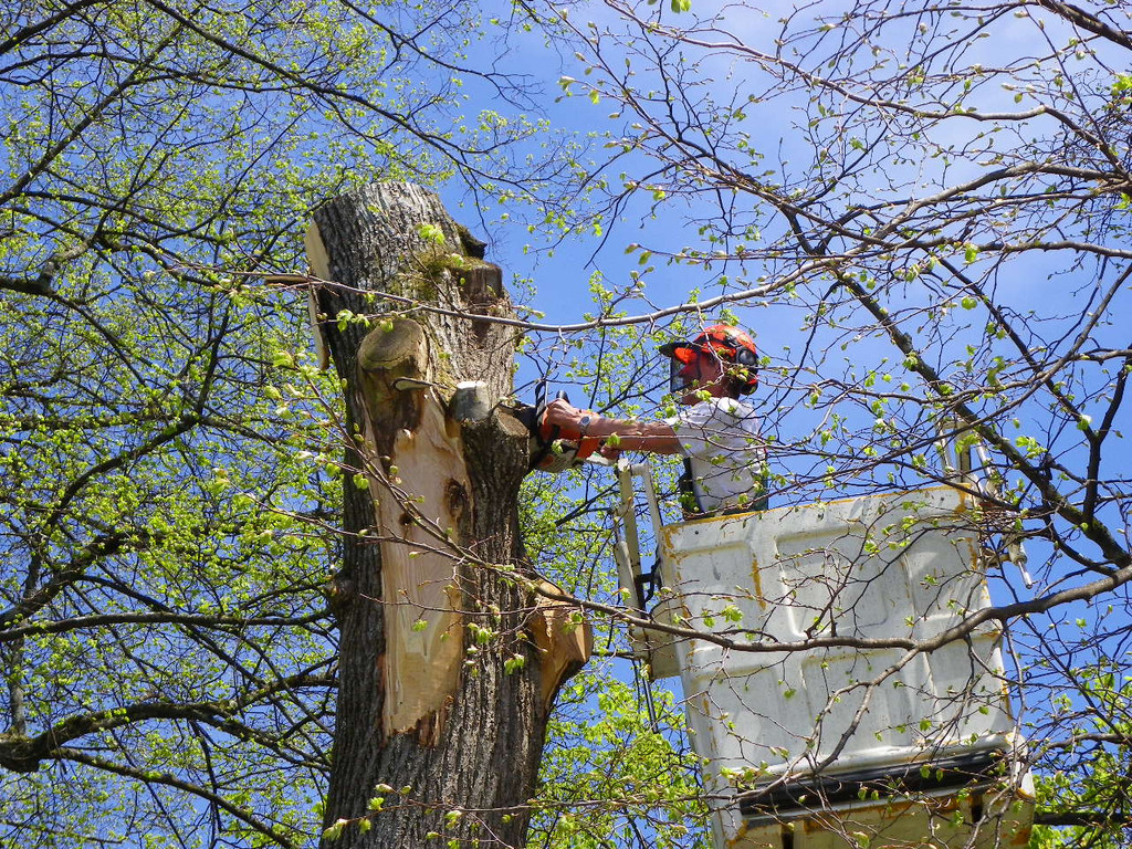 114_4837_JPG-1336340356