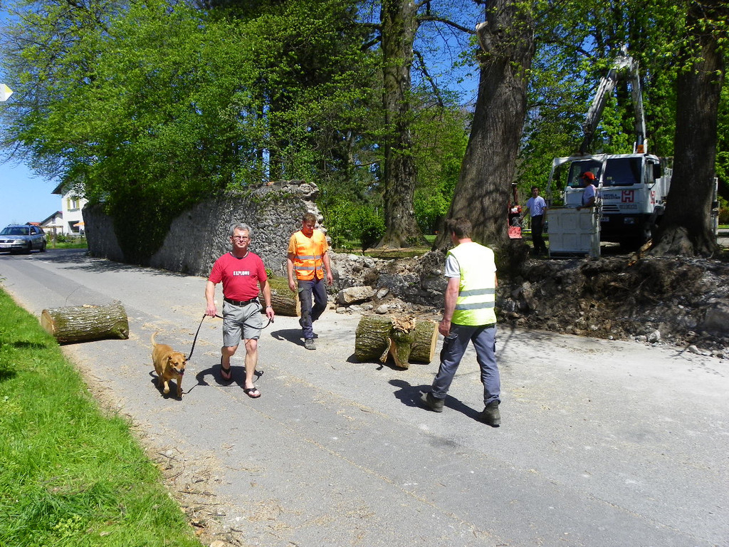 114_4853_JPG-1336340369