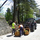 114_4864_JPG-1336340382