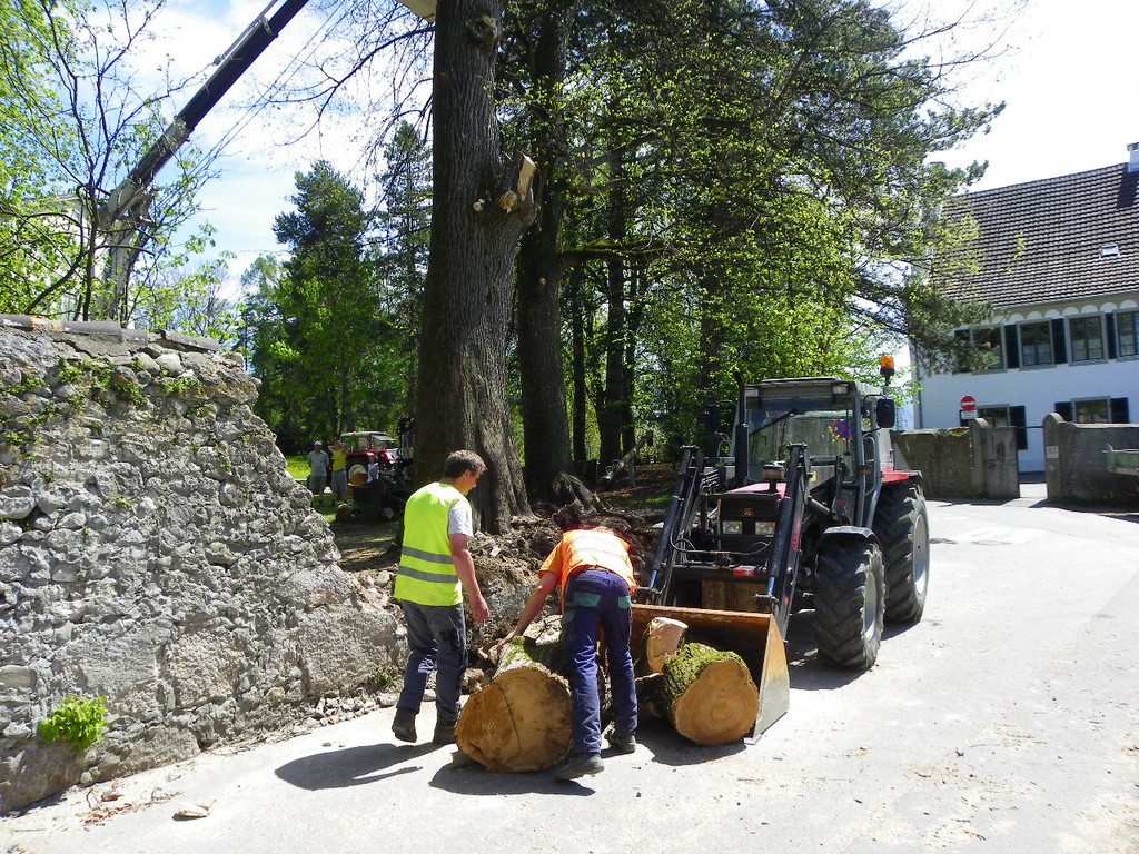 114_4864_JPG-1336340382