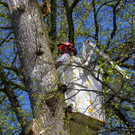 114_4826_JPG-1336340319