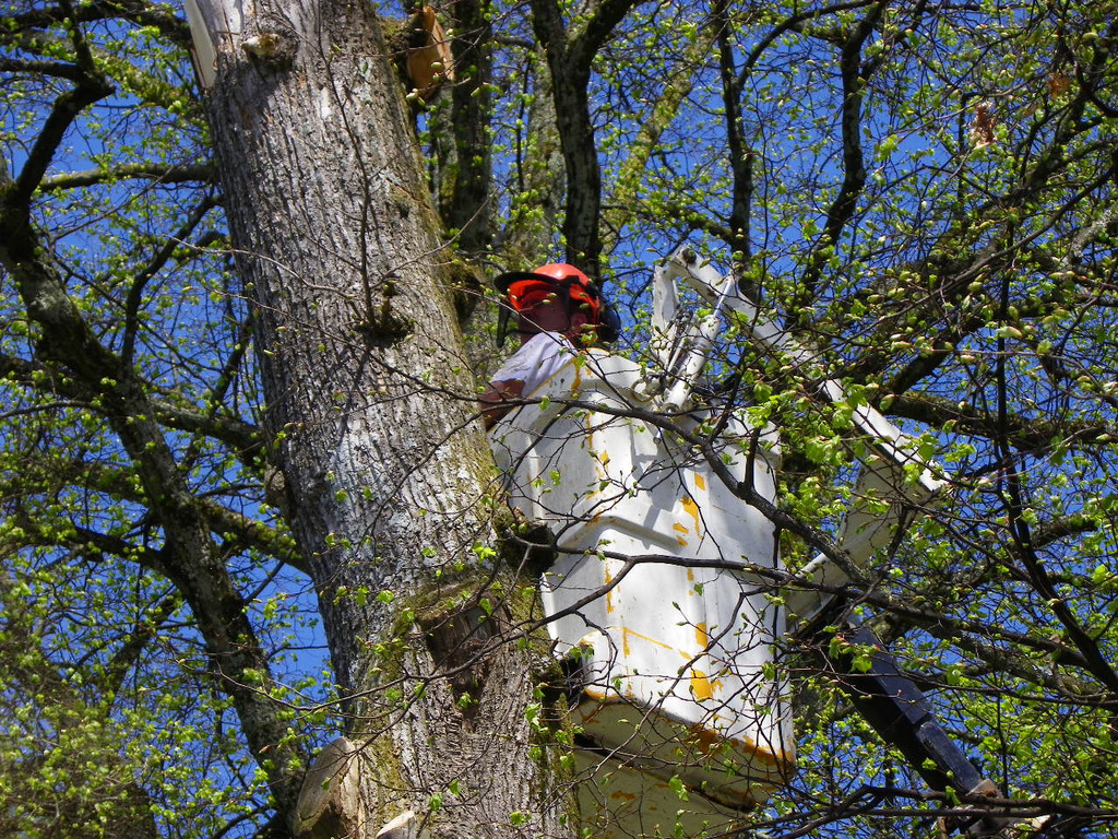 114_4826_JPG-1336340319