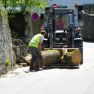 114_4871_JPG-1336340388