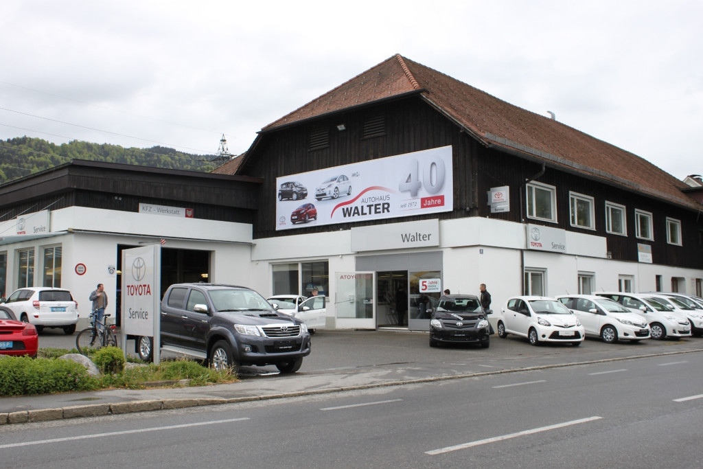 Toyota Walter Fest 40 Jahre 2012 _5__jpg-1336367410