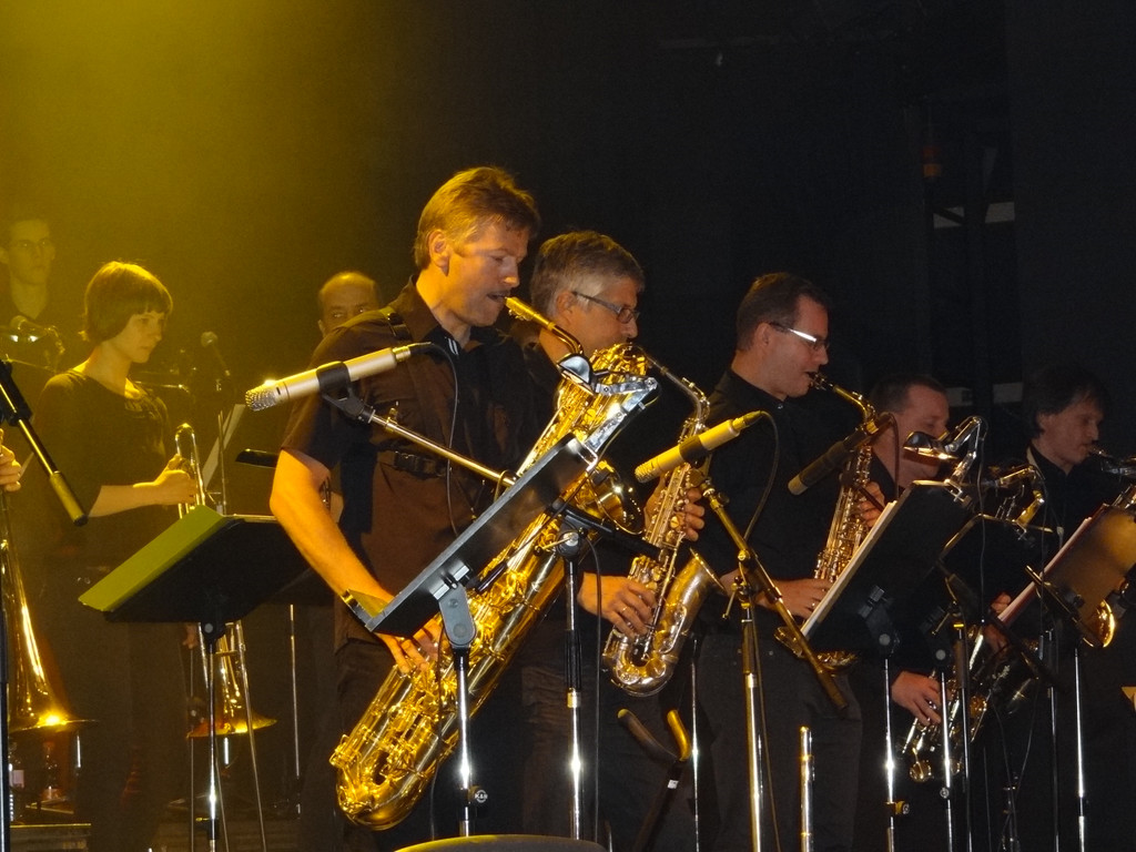 MMS Big Band_VHotz _14__JPG-1336374820