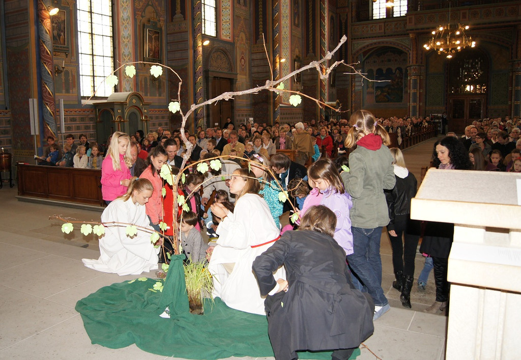 DSC01769.JPG