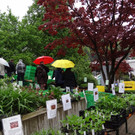 Markt Gartahag_VHotz _40__JPG-1336377611