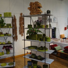 Markt Gartahag_VHotz _18__JPG-1336378218