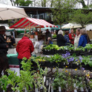 Markt Gartahag_VHotz _9__JPG-1336378493
