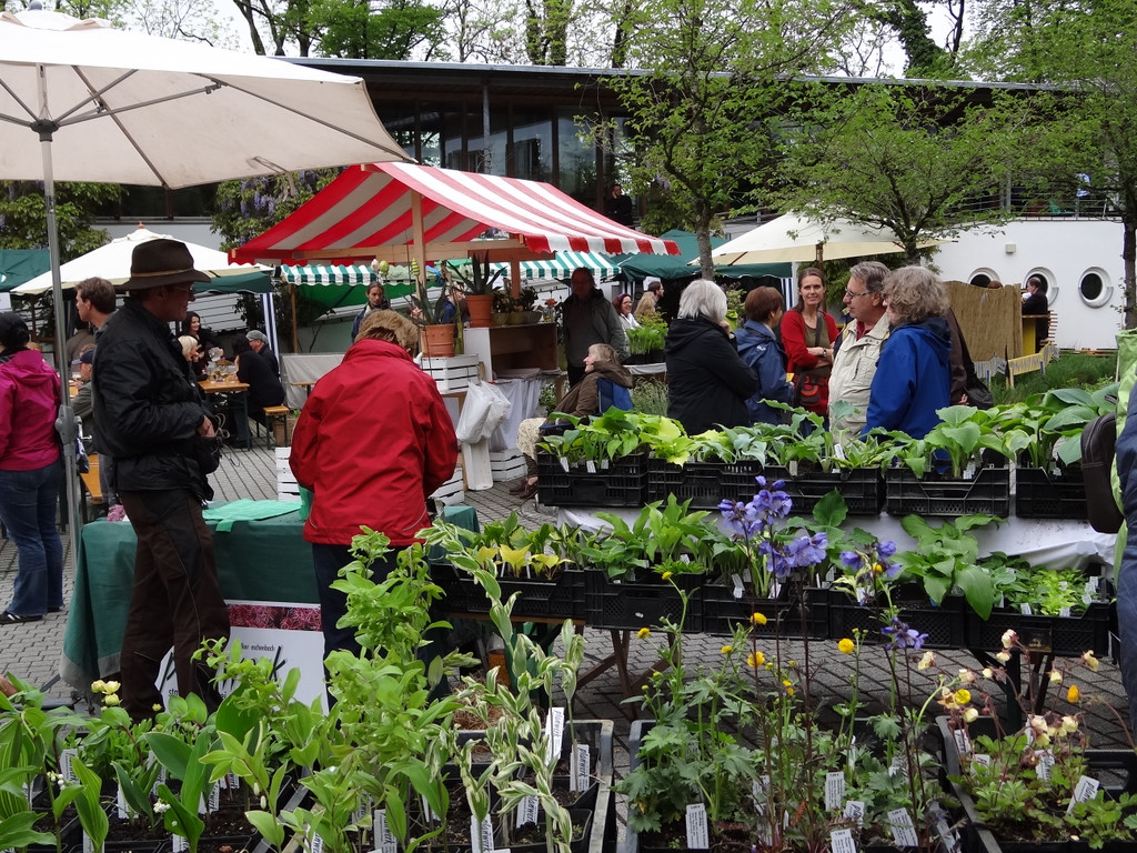 Markt Gartahag_VHotz _9__JPG-1336378493
