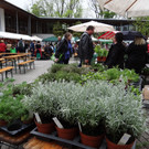 Markt Gartahag_VHotz _4__JPG-1336378629