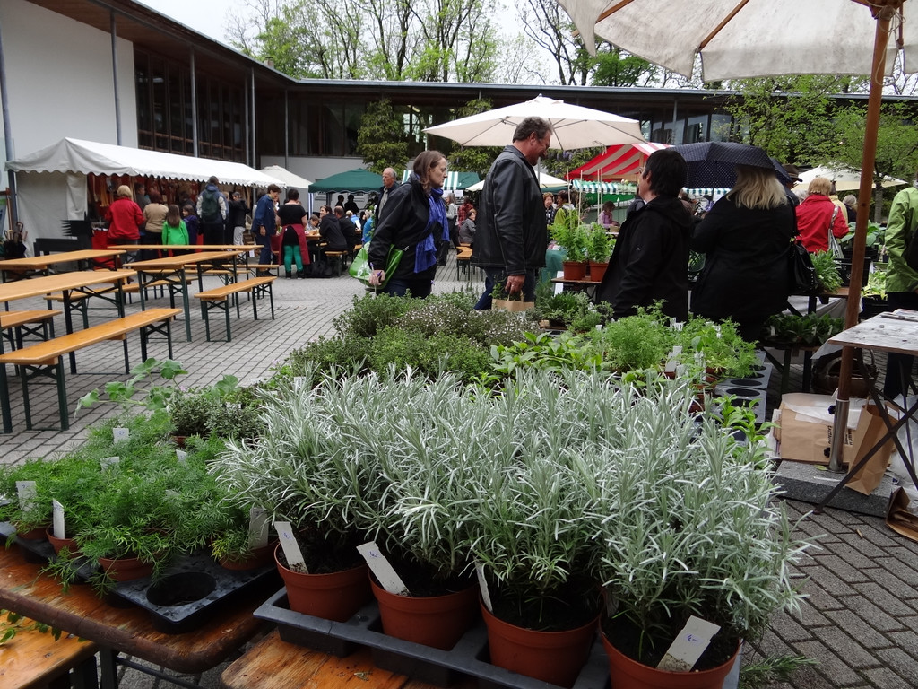 Markt Gartahag_VHotz _4__JPG-1336378629
