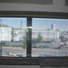 DSCN3293_JPG-1336378335