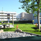 DSCN3305_JPG-1336378523