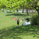DSCN3388_JPG-1336386705