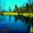 _DSC0071.JPG