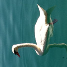 Anhang 3.jpg