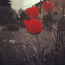 IMG_20120503_135912.jpg