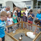 Spiele30Zoo_jpg-1336401893