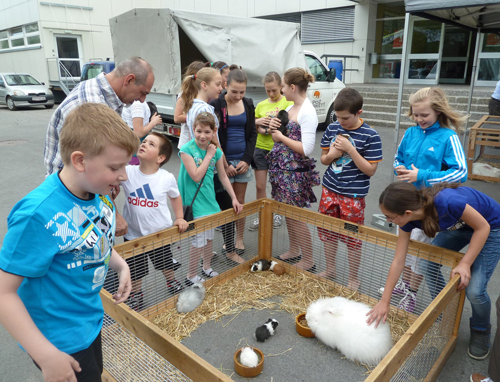 Spiele30Zoo_jpg-1336401893
