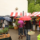 comp_IMG_3173.jpg