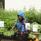 comp_IMG_3185.jpg