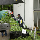 comp_IMG_3187.jpg