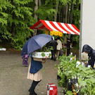 comp_IMG_3188.jpg