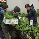 comp_IMG_3206.jpg