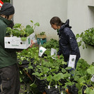 comp_IMG_3208.jpg
