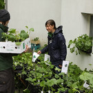 comp_IMG_3209.jpg