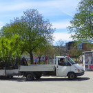 Palmenflair am Bodensee