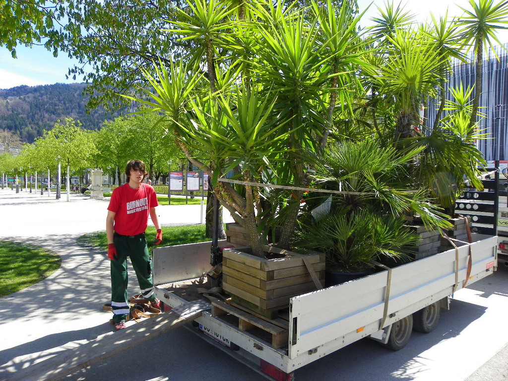 114_4146_JPG-1336428039